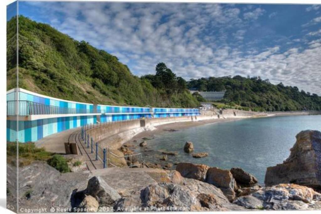**Sunny And Bright, Thatchers Rock One Bed Beach Front Apartment*** Torquay Eksteriør billede